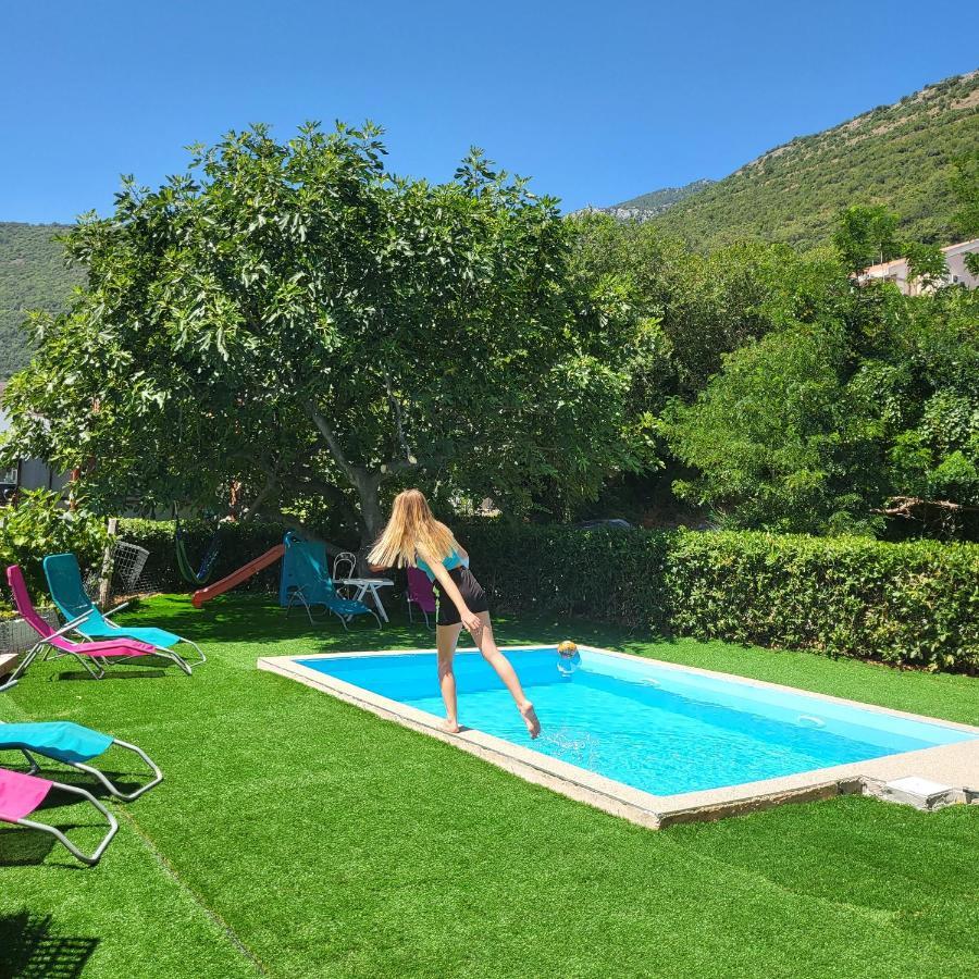 Apartmani Mia Sorajic Petrovac 外观 照片