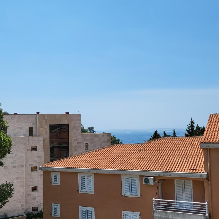 Apartmani Mia Sorajic Petrovac 外观 照片